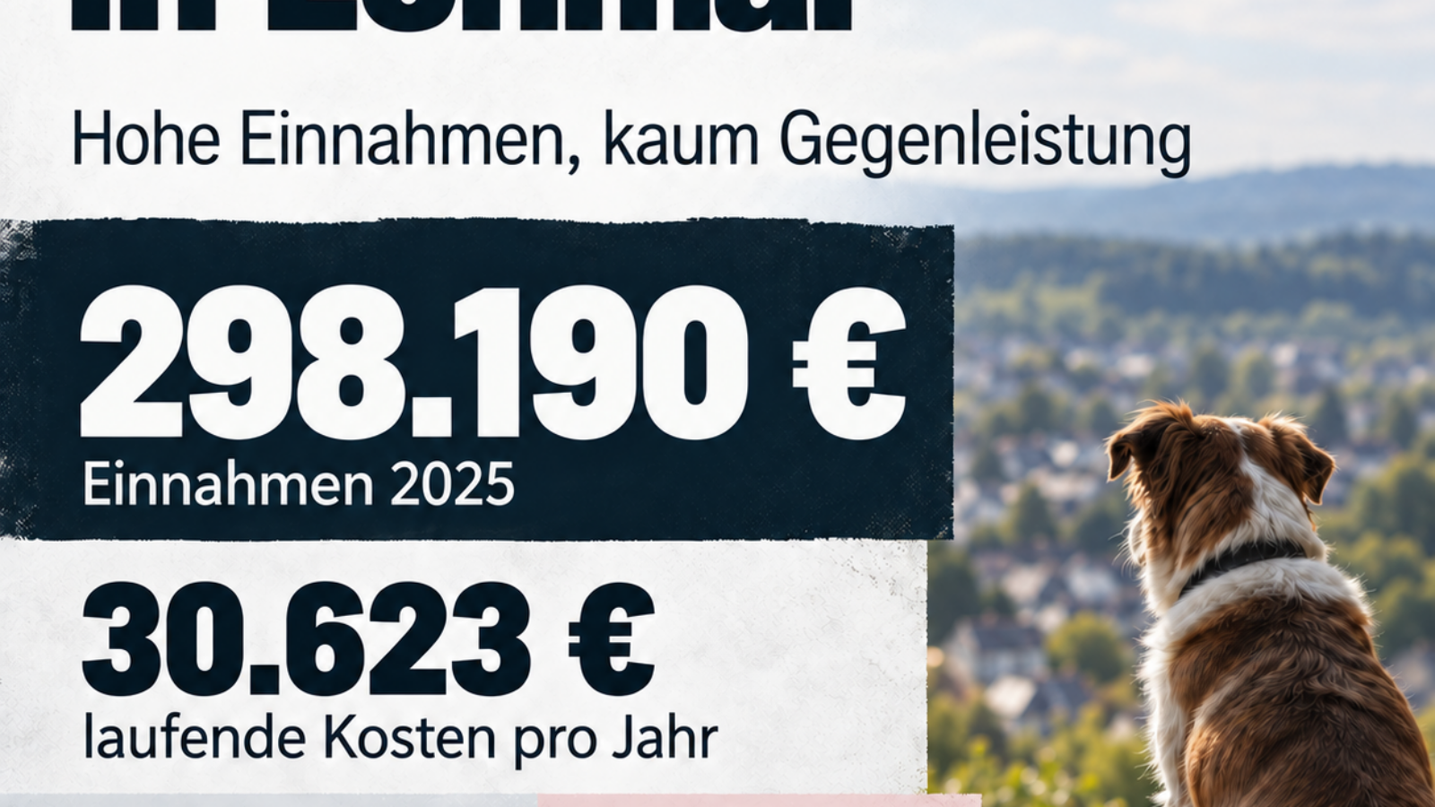 Hundesteuer Lohmar